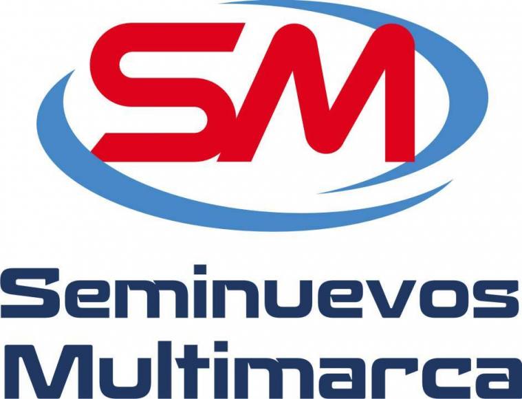 SEMINUEVOS MULTIMARCA 1